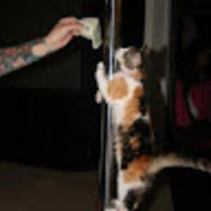 Meet your Posher, Althea